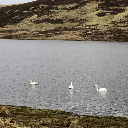 Scalloway Caravan Park Dış mekan fotoğraf